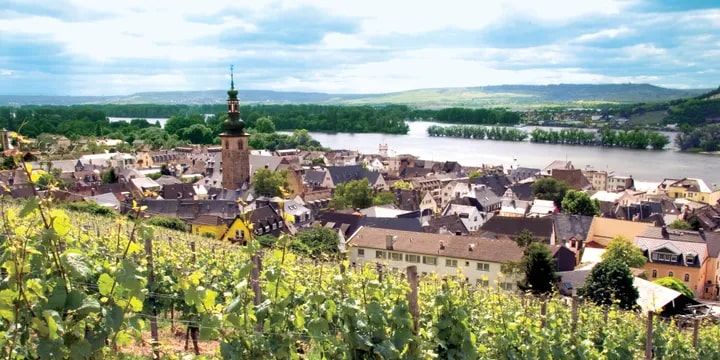RUDESHEIM RÜDESHEIM ALEMANIA GERMANY RHINE GETAWAY CRUISE VIKING RIVER CRUISES CRUCEROS RIN VIKING RIVER CRUISES RHINE CRUISES RHINE RIVER CRUISES #Rhine #RhineRiverCruises #RhineCruise #VikingRiverCruises #Cruceros #CrucerosFluviales #CrucerosFluvialesDeLujo #LuxuryRiverCruises
